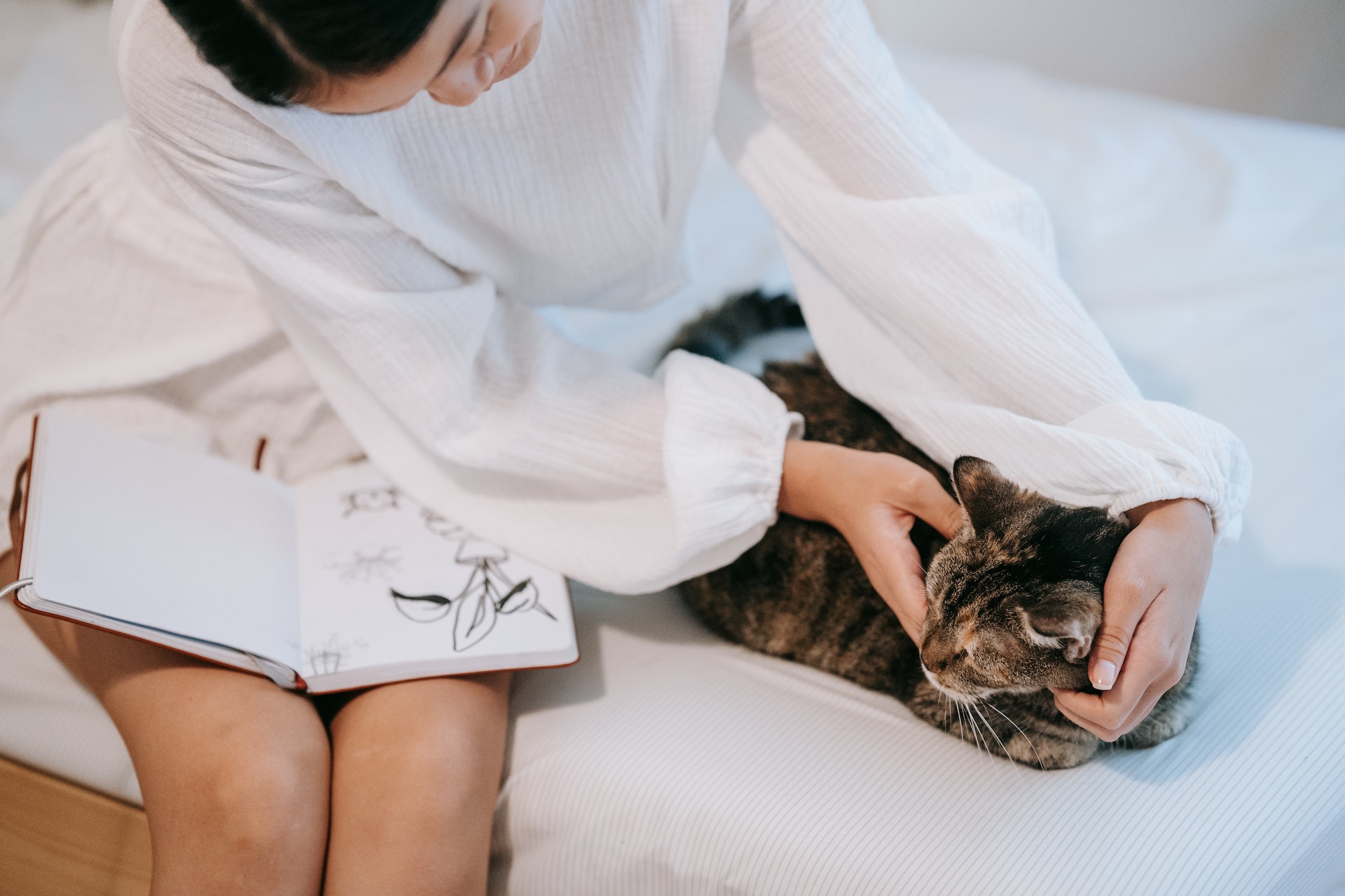 A cat in bed relaxing with their parent