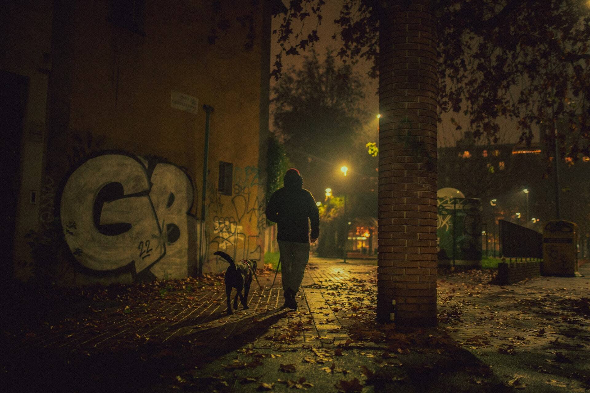A man walking his dog through a city in the late evening