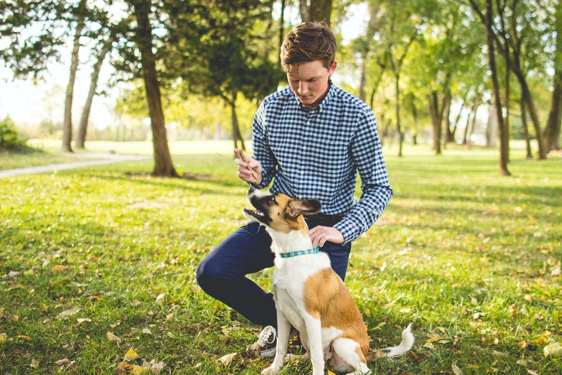 Un hombre adiestrando a su perro en un parque