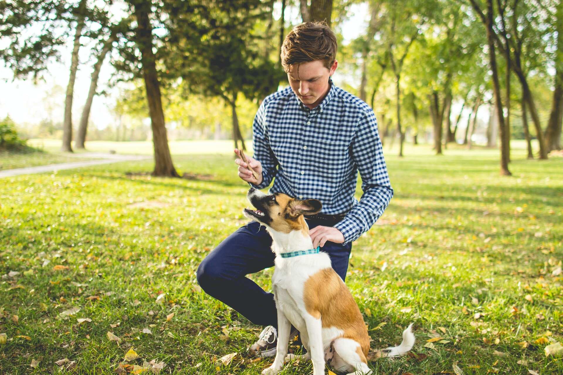 Een man traint zijn hond in een park