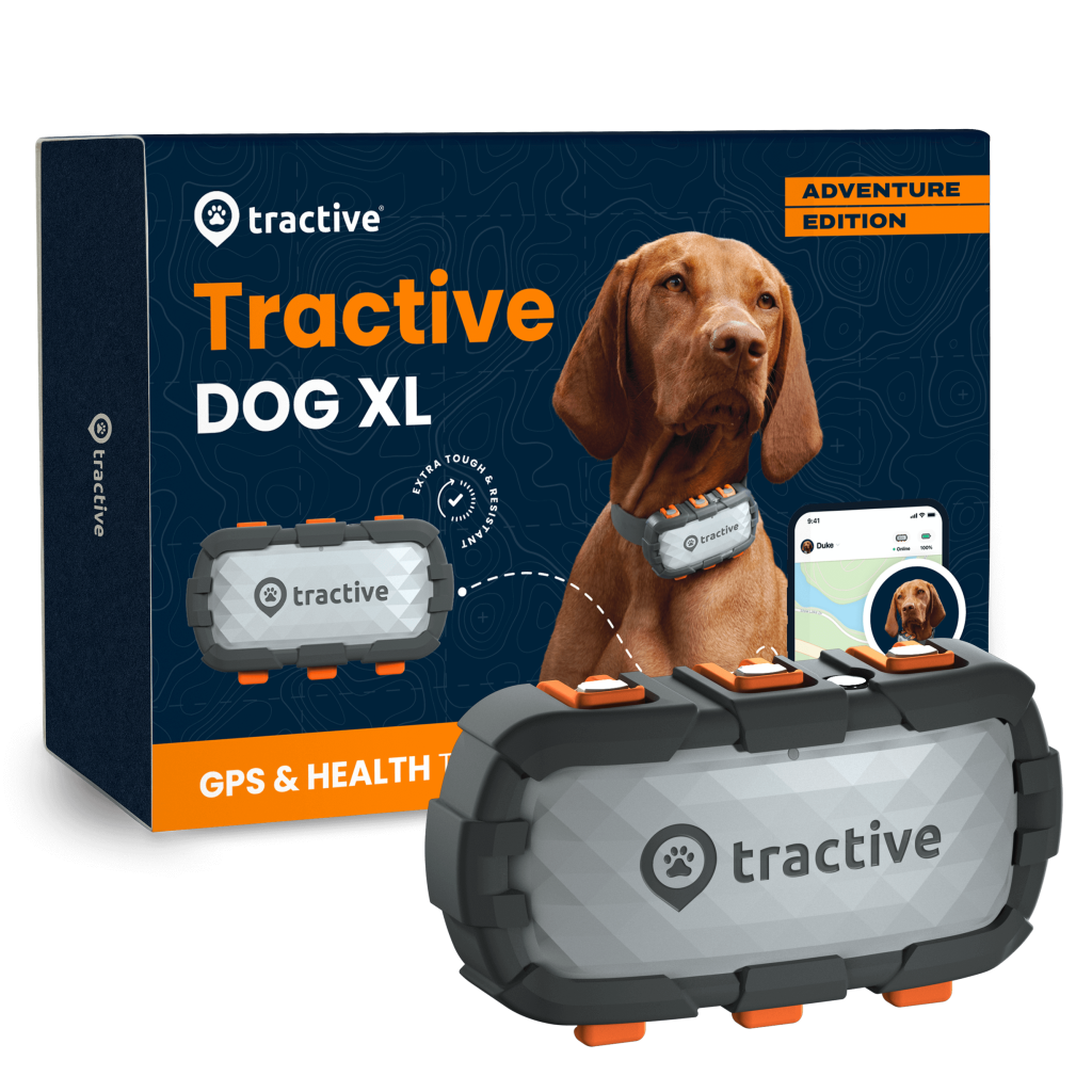 Verpackung und Tracker des Tractive DOG XL - Adventure Edition