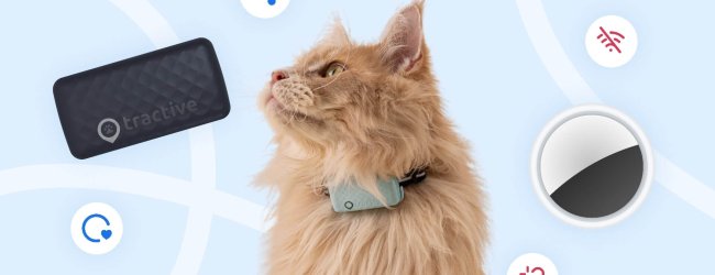 Tractive GPS Cat Tracker, katt, Apple AirTag till katt