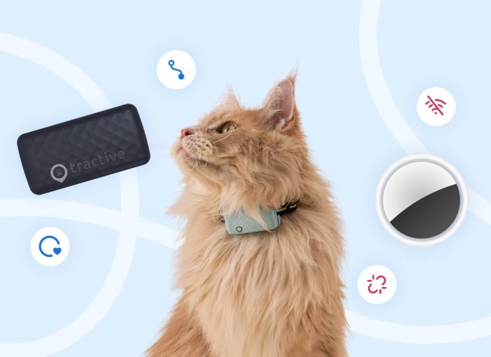 Tractive GPS Cat Tracker, katt, Apple AirTag till katt