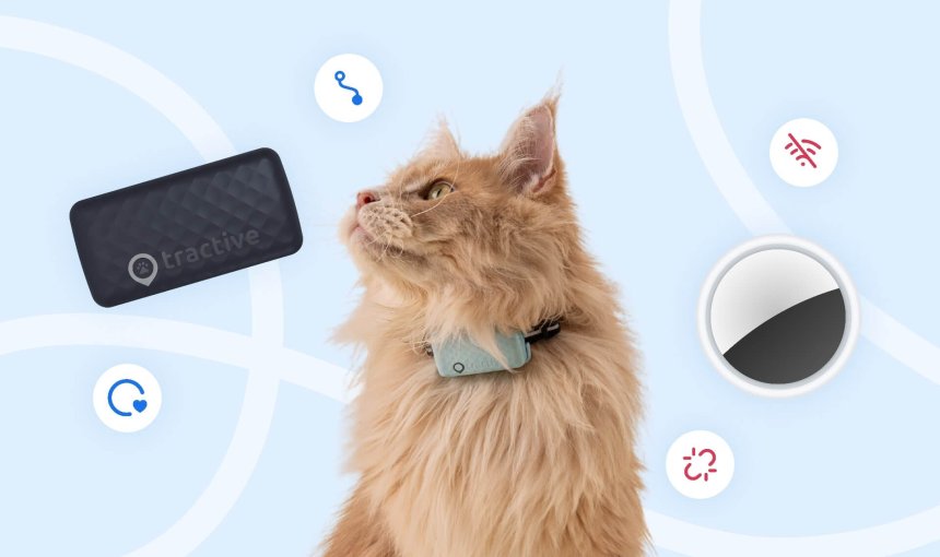 Tractive GPS-tracker for katter, katt, Apple AirTag for katter