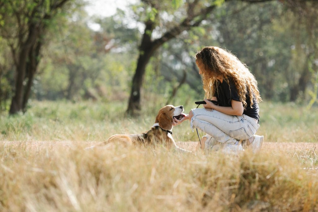 femme accroupie au soleil dans un champ caressant un beagle étendu par terre