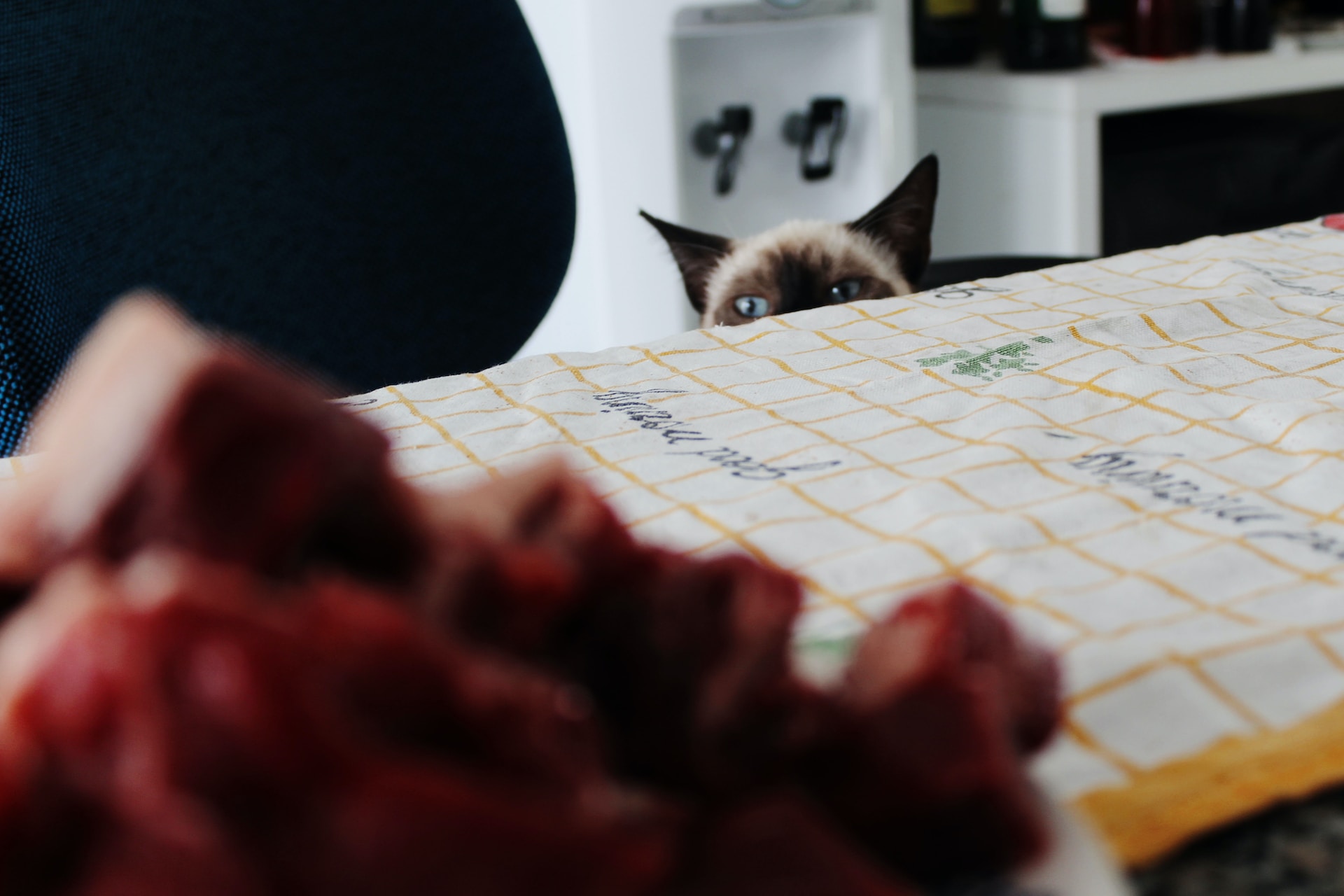 A cat sneaking a glance at raw deli meats on a table