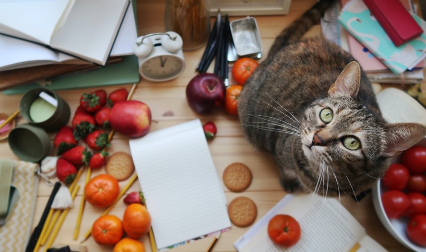 A cat on a tale surrounded by fruits and vegetables