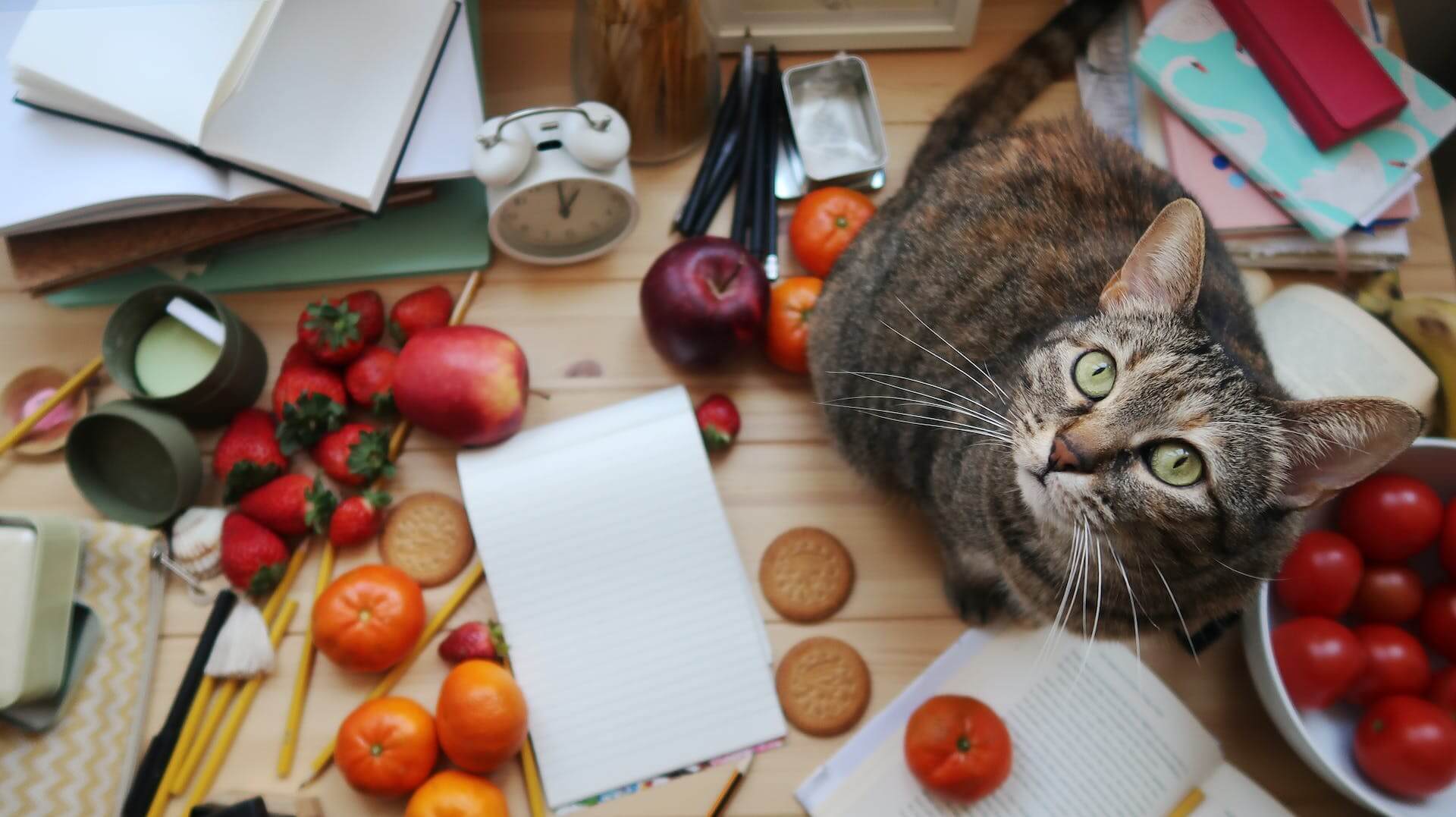 Do cats eat clearance vegetables in the wild