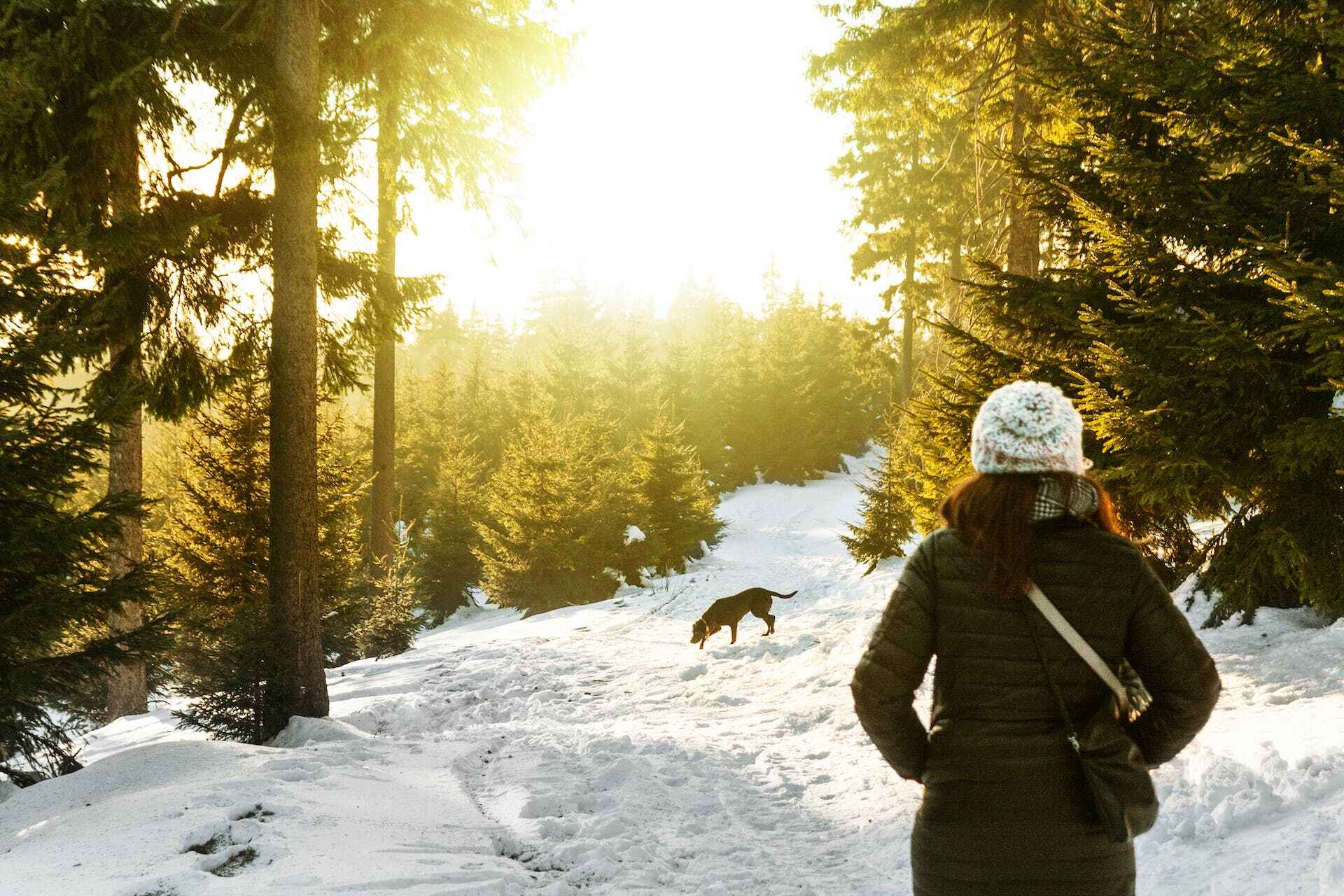 A woman and dog exploring a snowy forest
