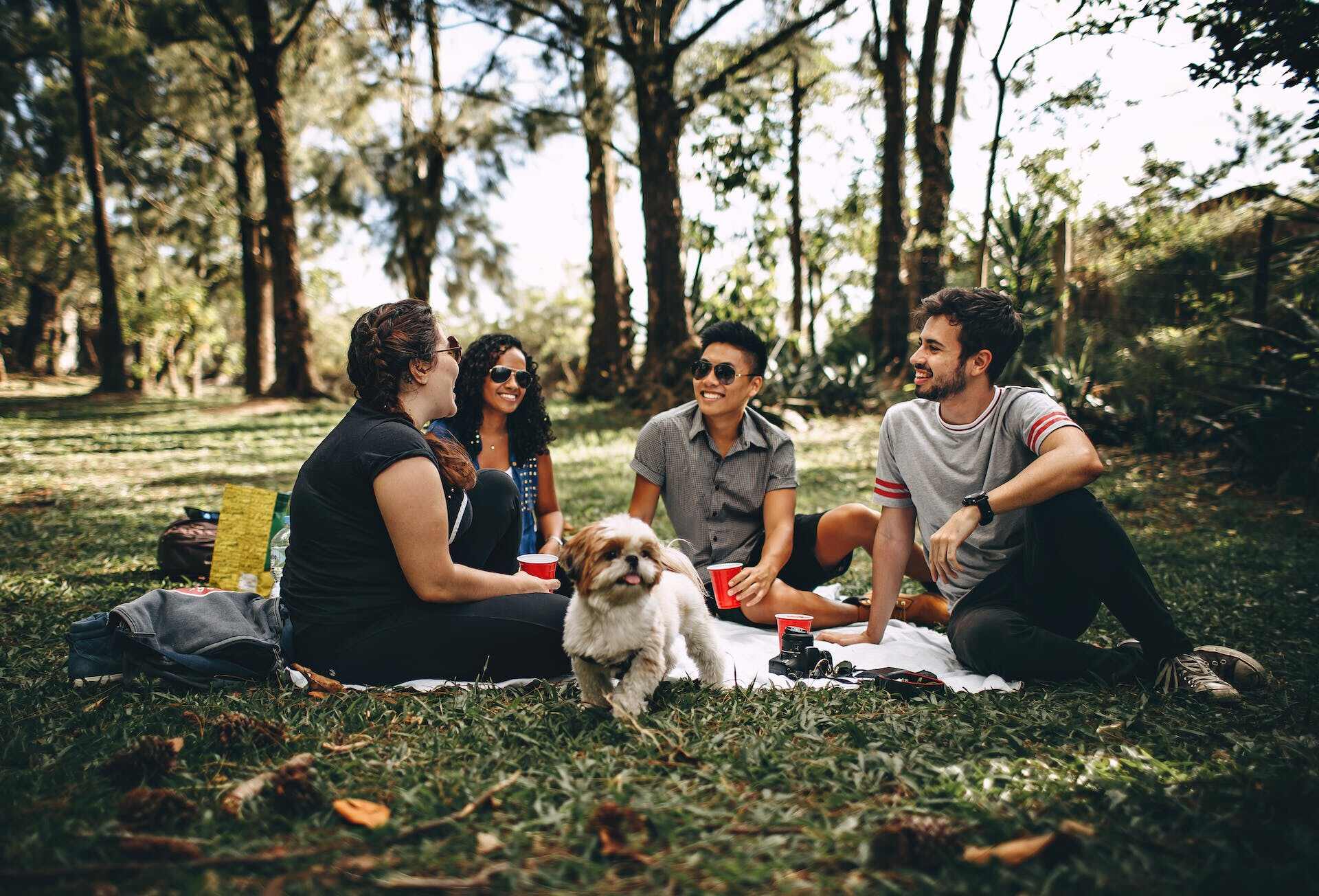 A group of people sitting in a park with a dog