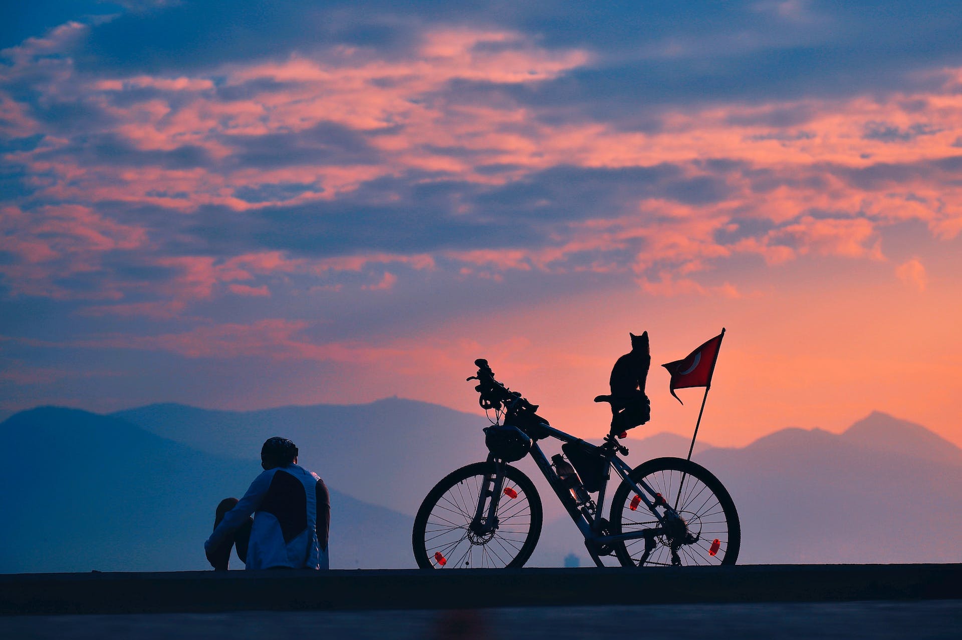 A cat sitting on a bicycle with their parent overlooking a mountain range