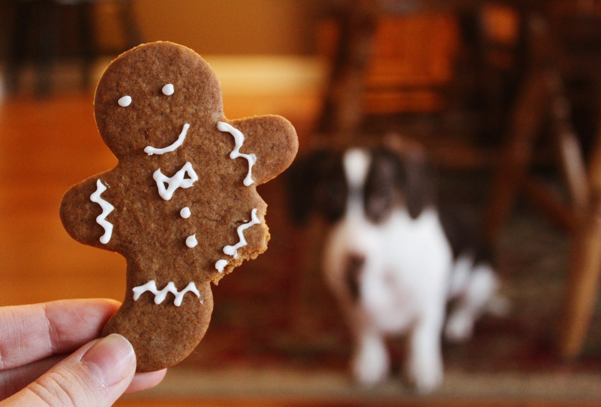 A person holding up a gingerbread cookie with a leg bitten off, dog in the background