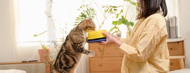 A woman feeding a cat from a feeding bowl