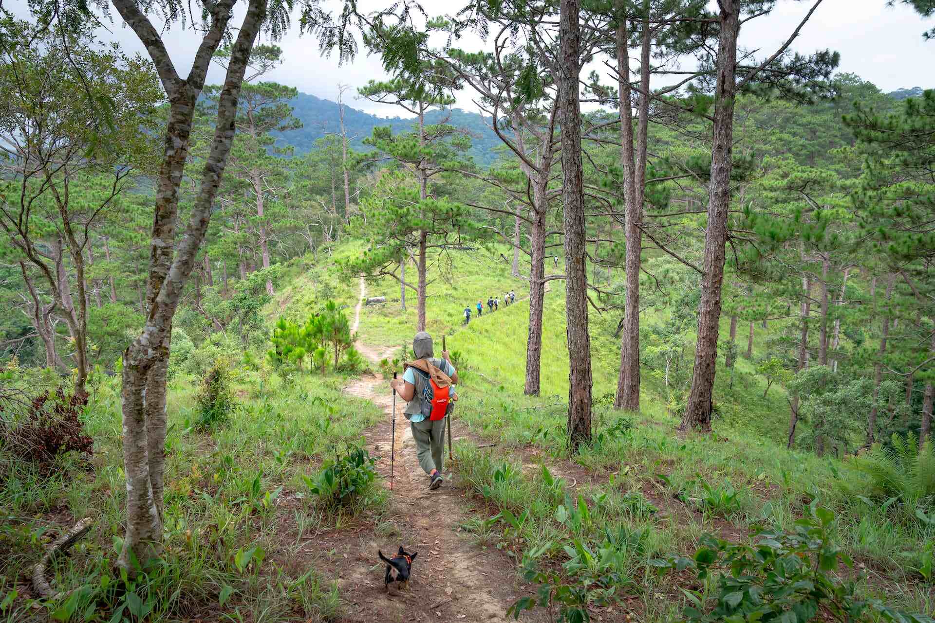 A woman walking a gentle hiking trail with a small dog