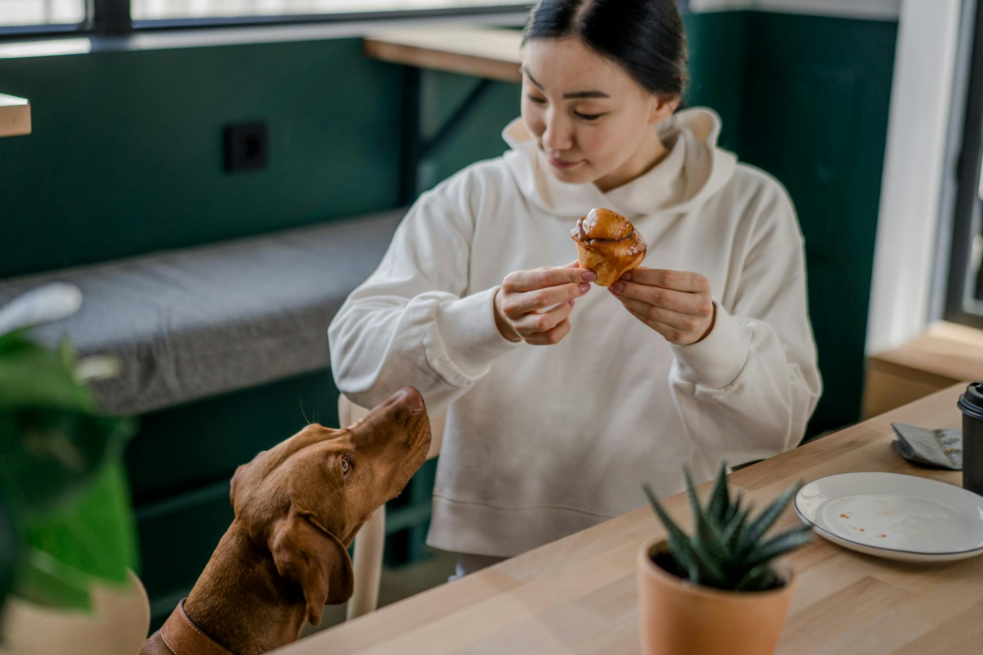 A woman in a cafe with a brown dog