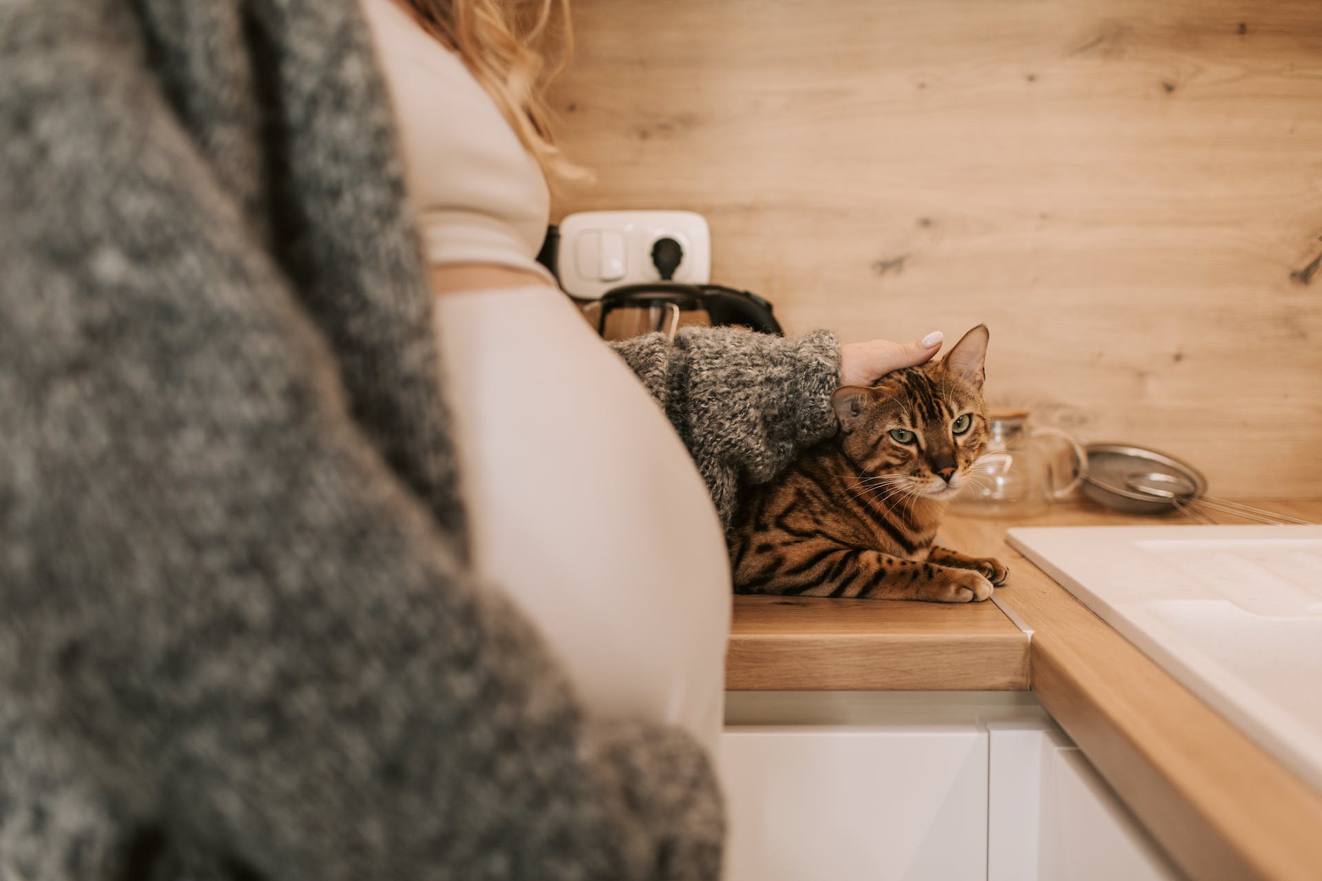 A pregnant woman petting a cat indoors