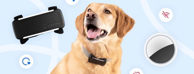tracker Tractive nero per cani, cane e un Apple AirTag su sfondo azzurro