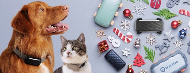 A dog and a cat next to a pile of Christmas presents including a Tractive GPS tracker