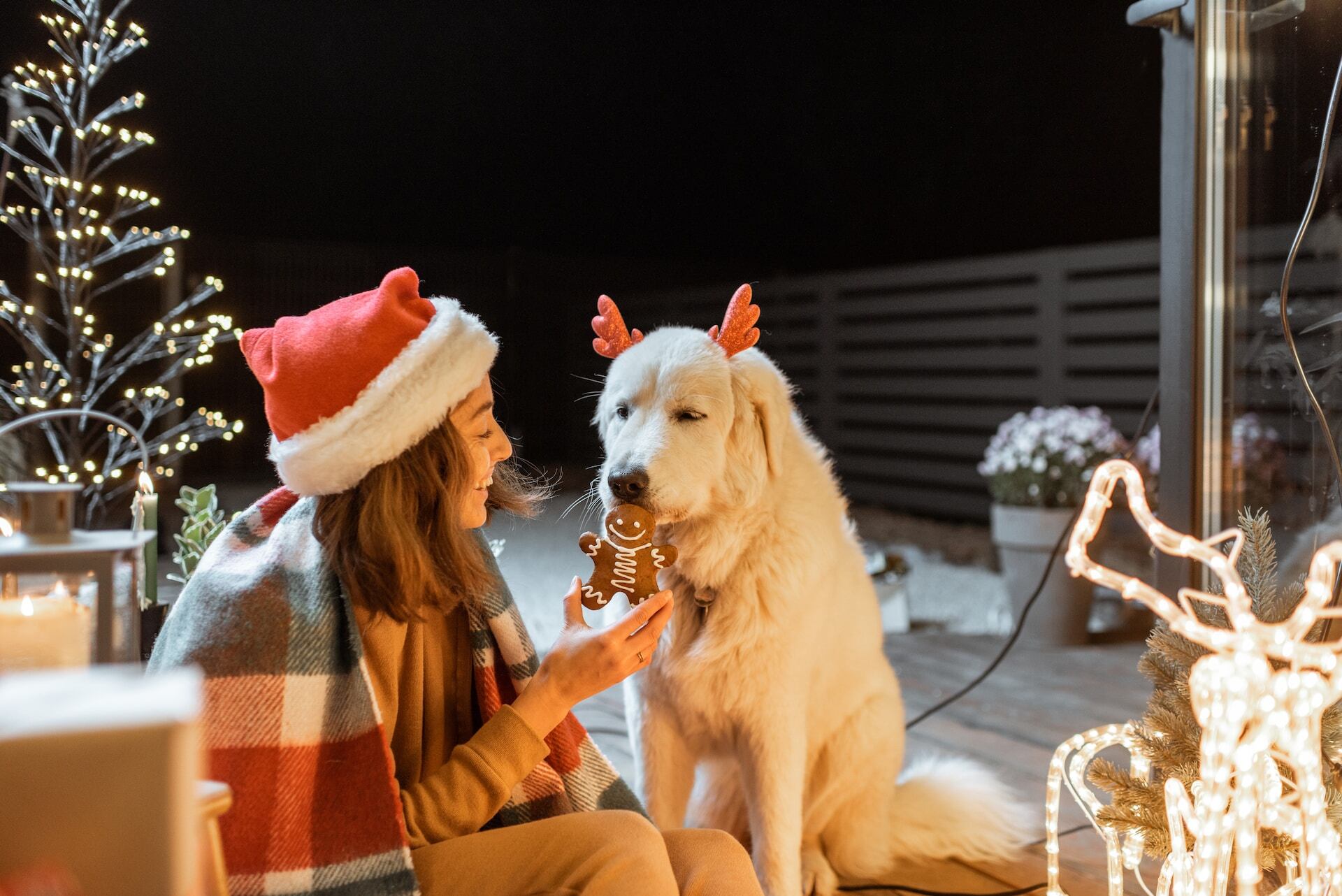A woman in a Santa hat offering a cookie to a dog wearing reindeer antlers