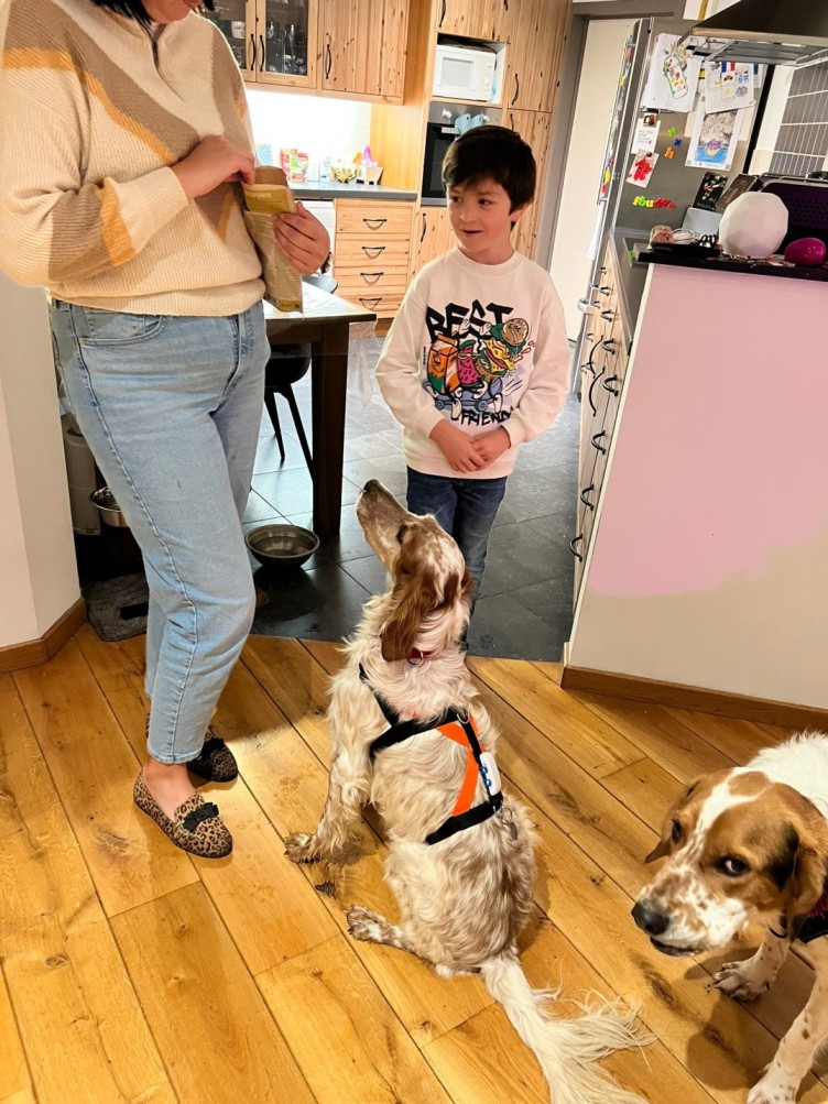 A rescue dog wearing a harness and Tractive GPS in a kitchen with a woman, child, and another dog