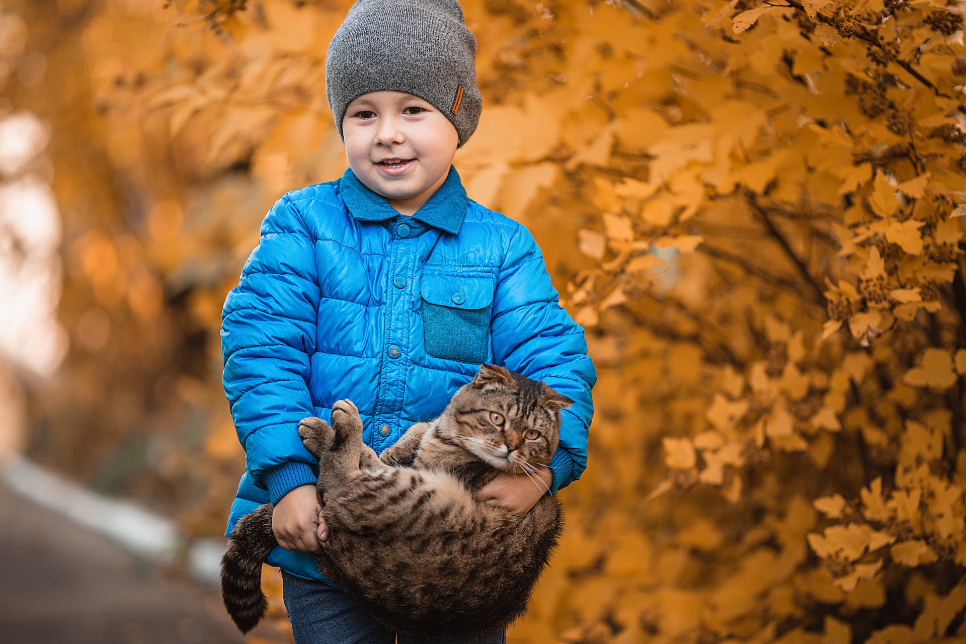 A boy carrying a cat outdoors on a walk