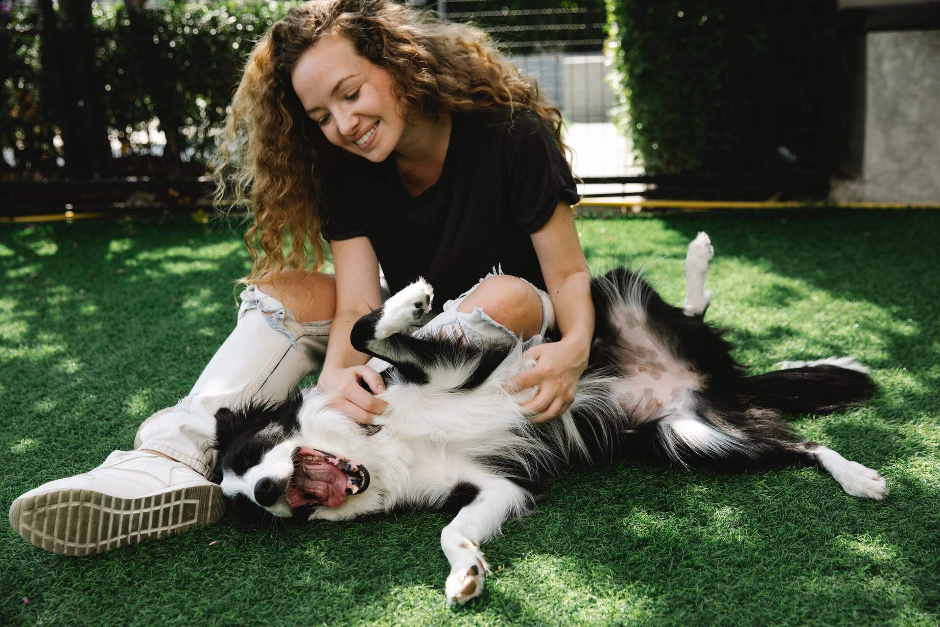 A woman playing with a Border Collie in a lawn