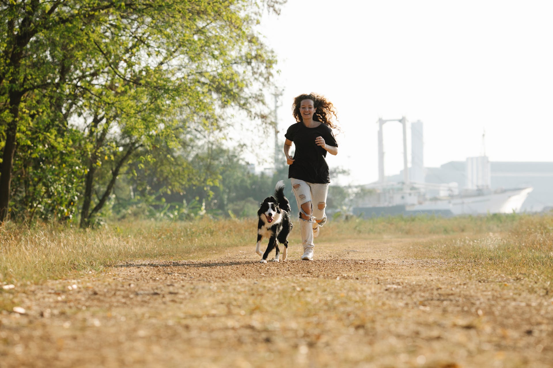 A woman chasing a Border Collie in an open field