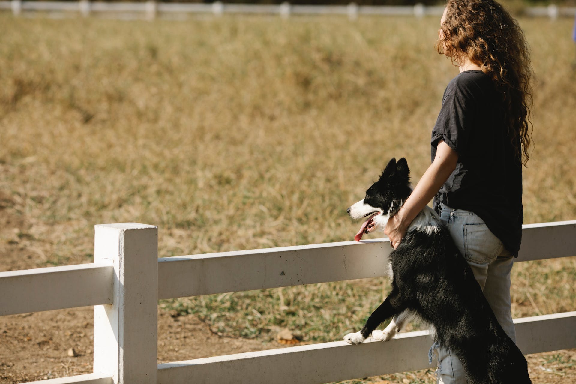 A woman standing with a dog by a fence overlooking a field