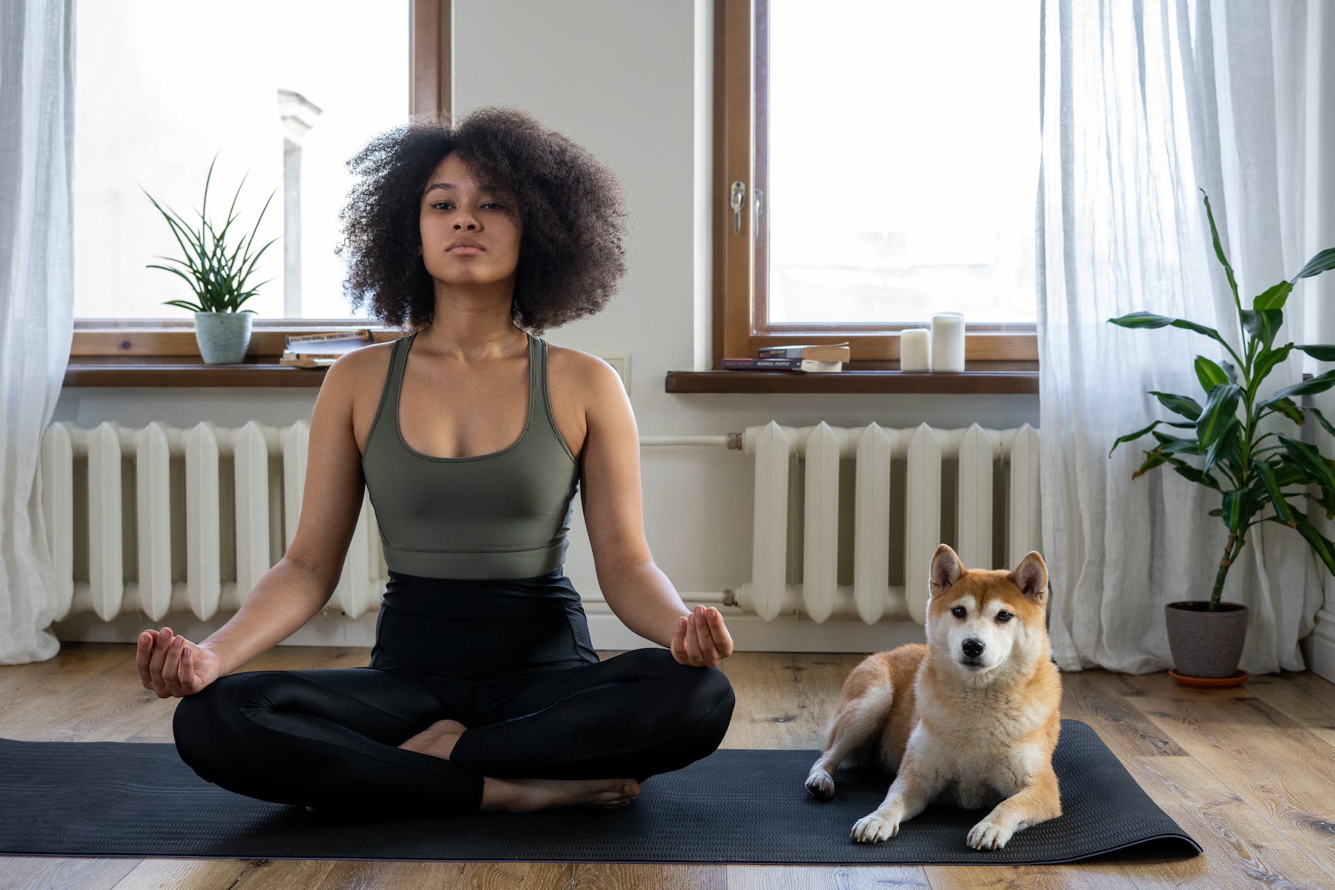 A woman meditating on a yoga mat indoors next t o a dog