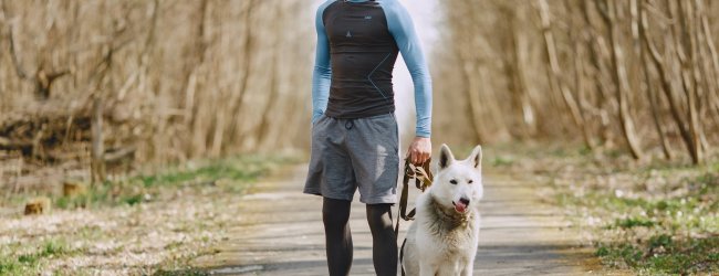 A runner standing by a dog in a forest trail