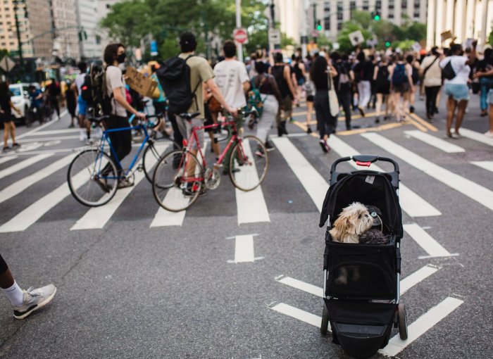 A dog in a pram on a crowded city street