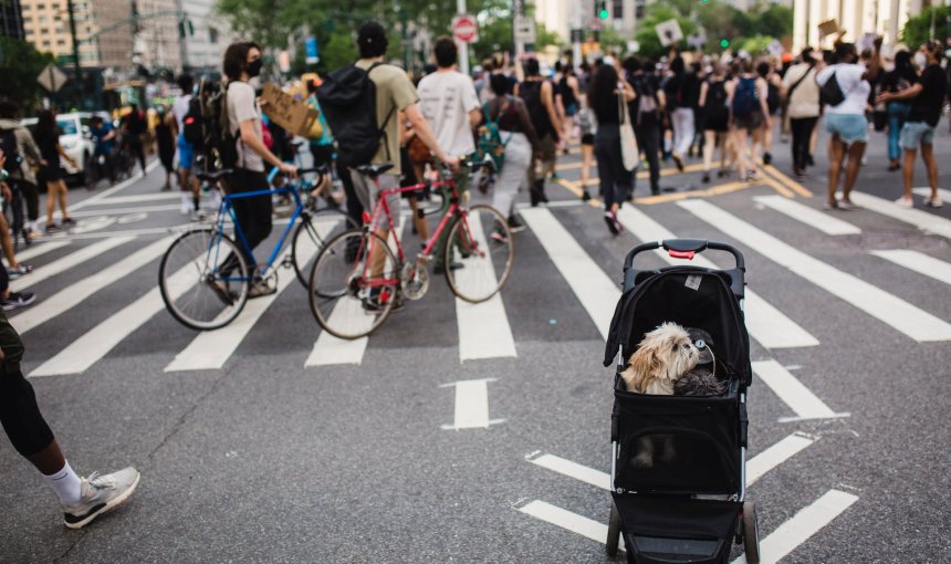 A dog in a pram on a crowded city street