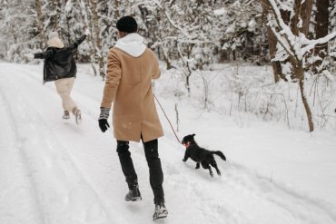 10 Most Important Tips For Running With Dogs - Tractive