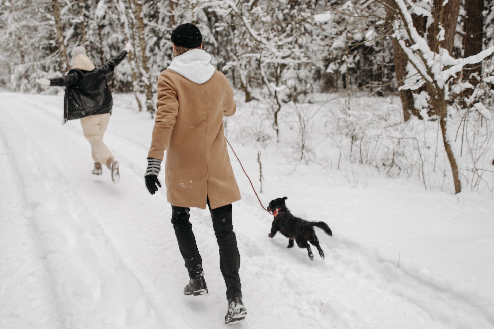 A couple running in the snow with a dog on a leash