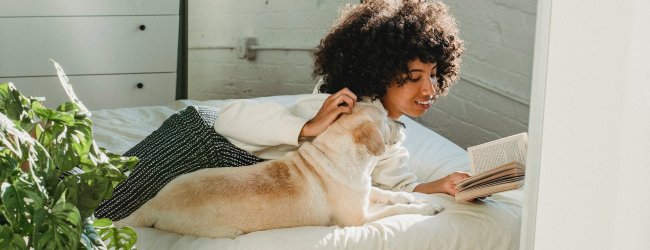 A woman reading a book in bed next to a dog