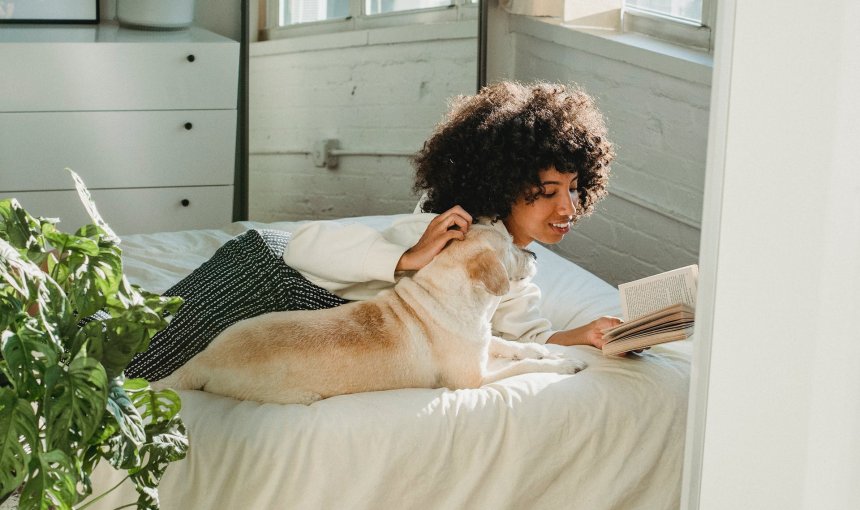 A woman reading a book in bed next to a dog