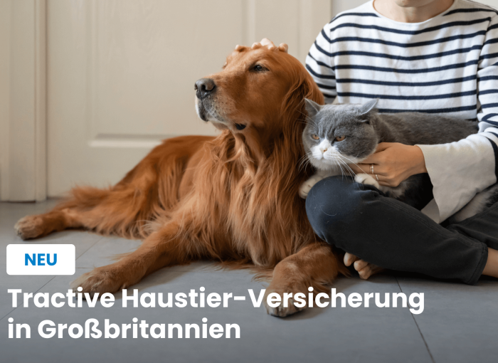 Frau sitzt mit Hund und Katze am Boden - Werbung für Tierversicherung für Hunde in Großbritannien