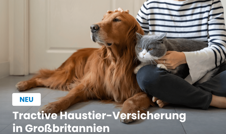 Frau sitzt mit Hund und Katze am Boden - Werbung für Tierversicherung für Hunde in Großbritannien