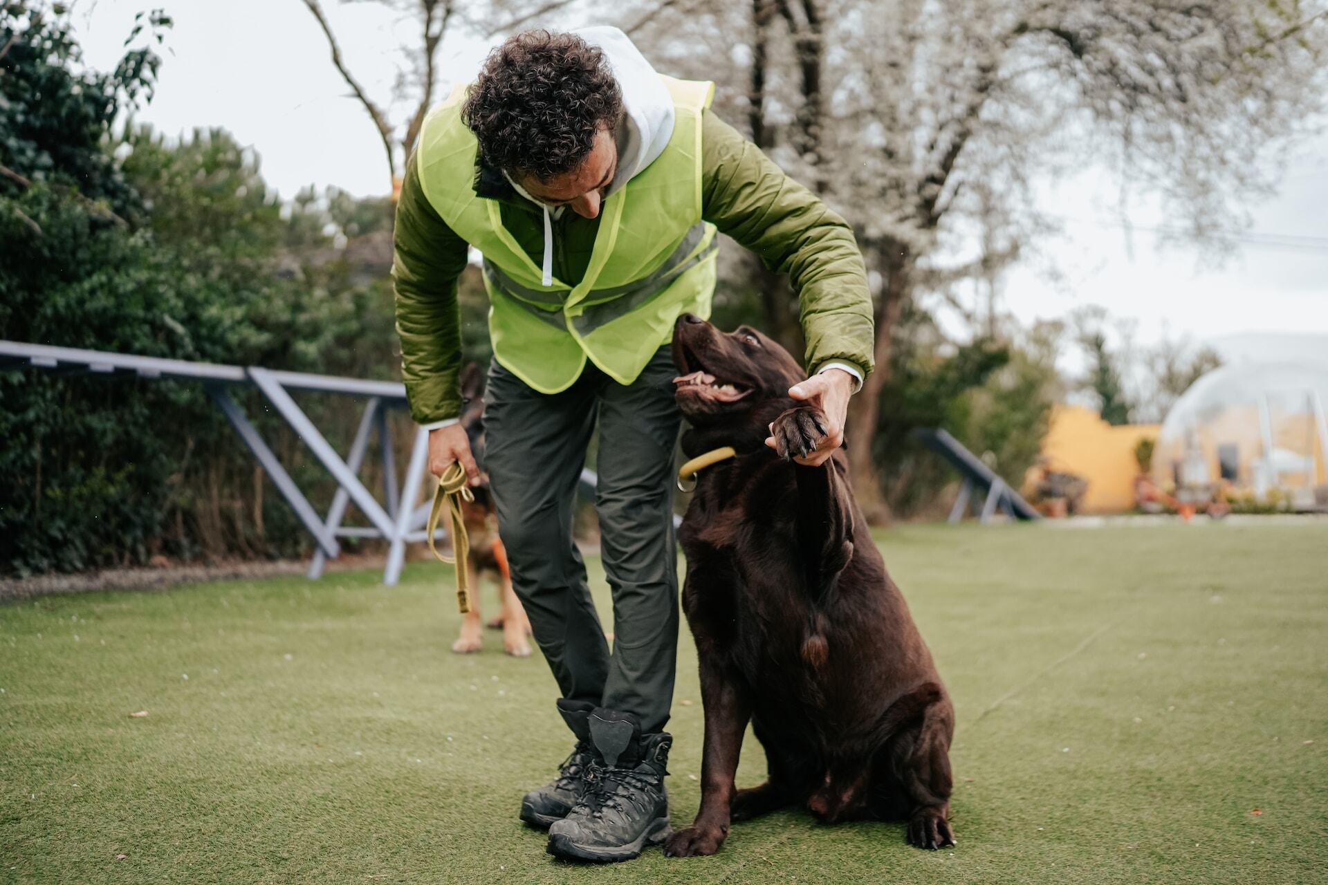 A man training his dog the Paw command in a garden