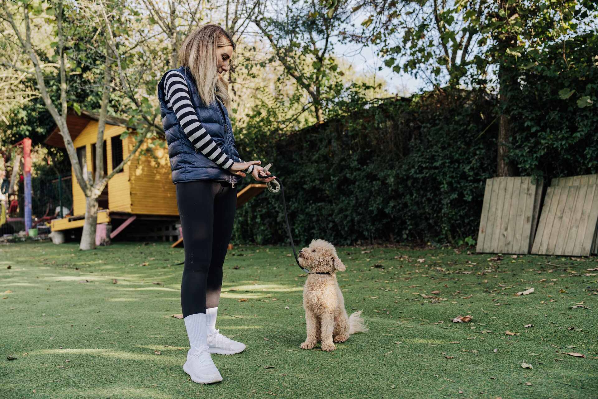 A woman training a Labradoodle puppy in a garden