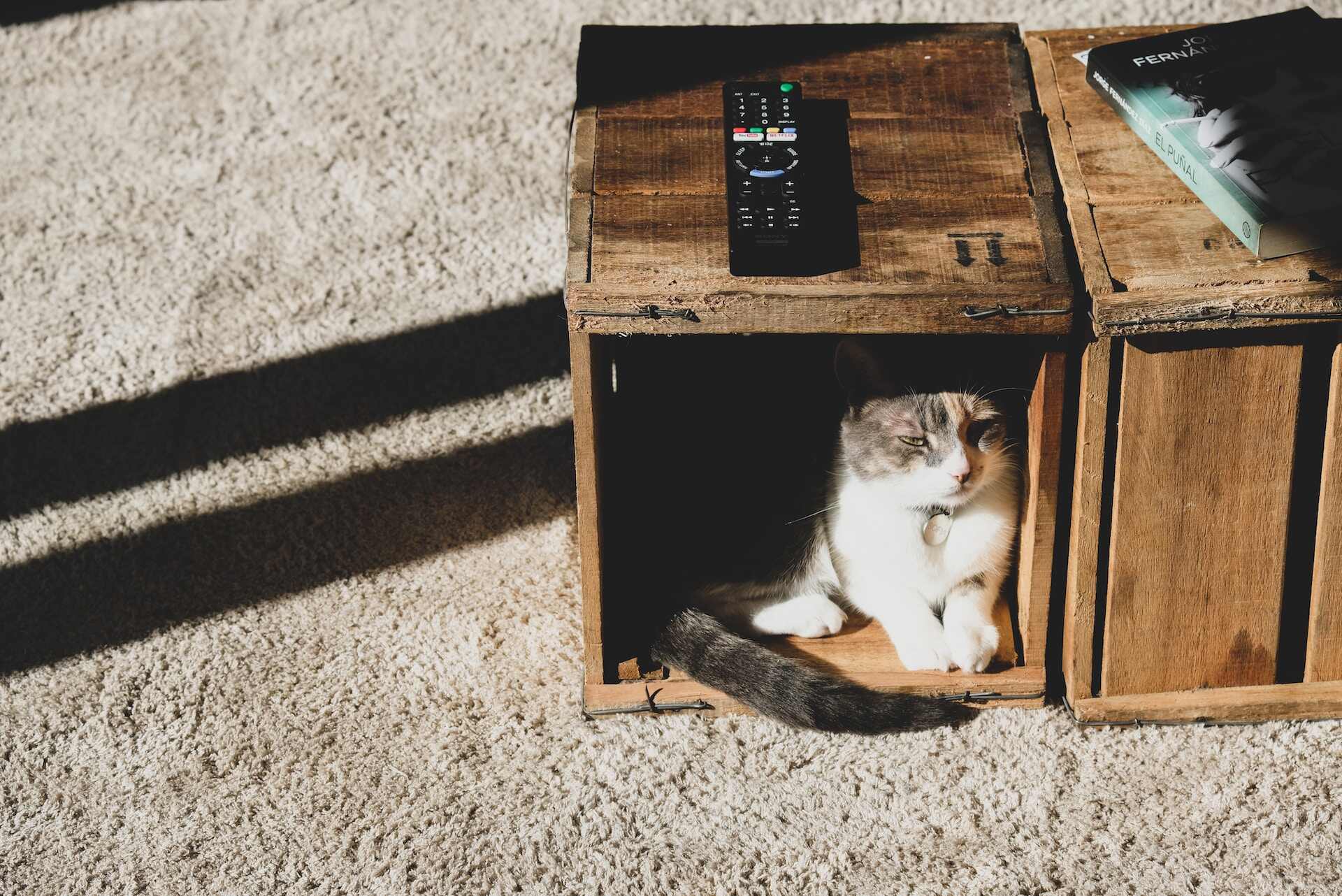 A cat sitting inside a wooden box indoors