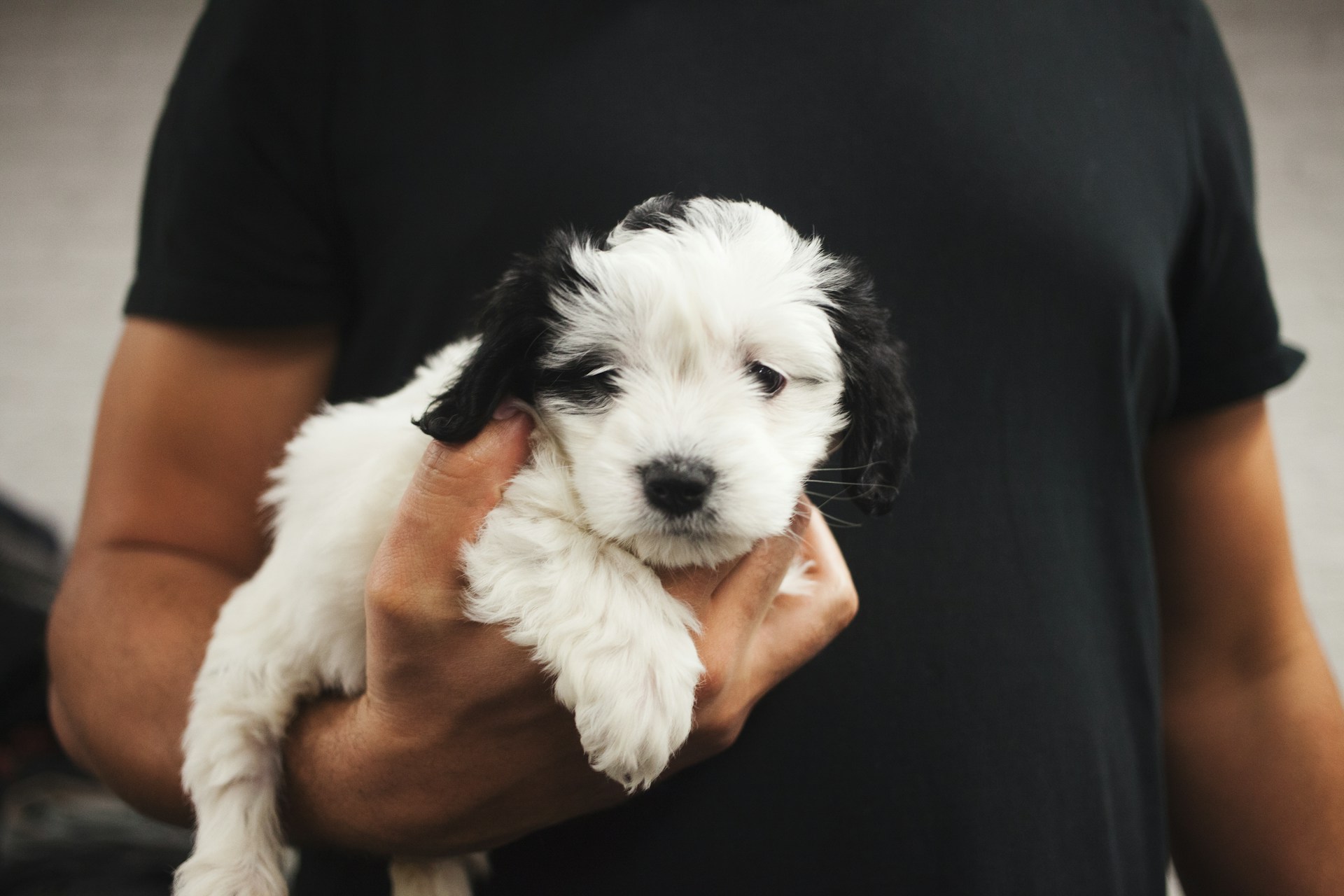 A man wearing a black shirt holding a small white and black puppy
