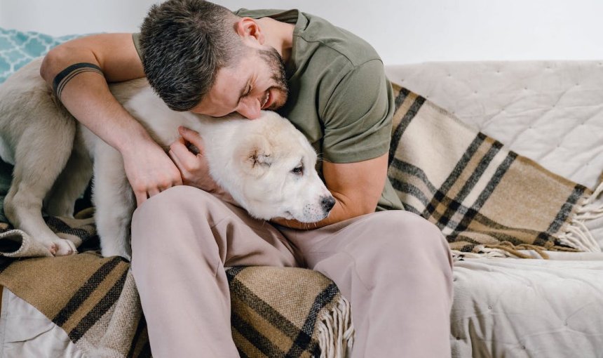 Hund tröstet Mann auf der Couch, der ihn umarmt