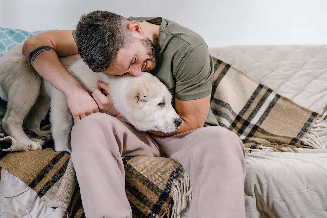 Hund tröstet Mann auf der Couch, der ihn umarmt