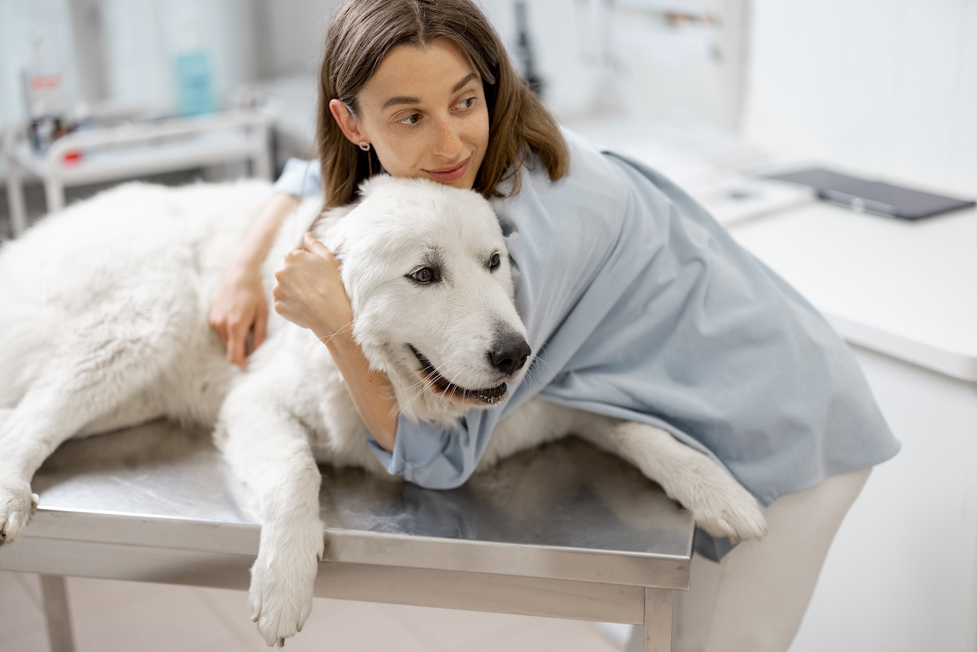 A woman hugging a dog at a vet's clinic