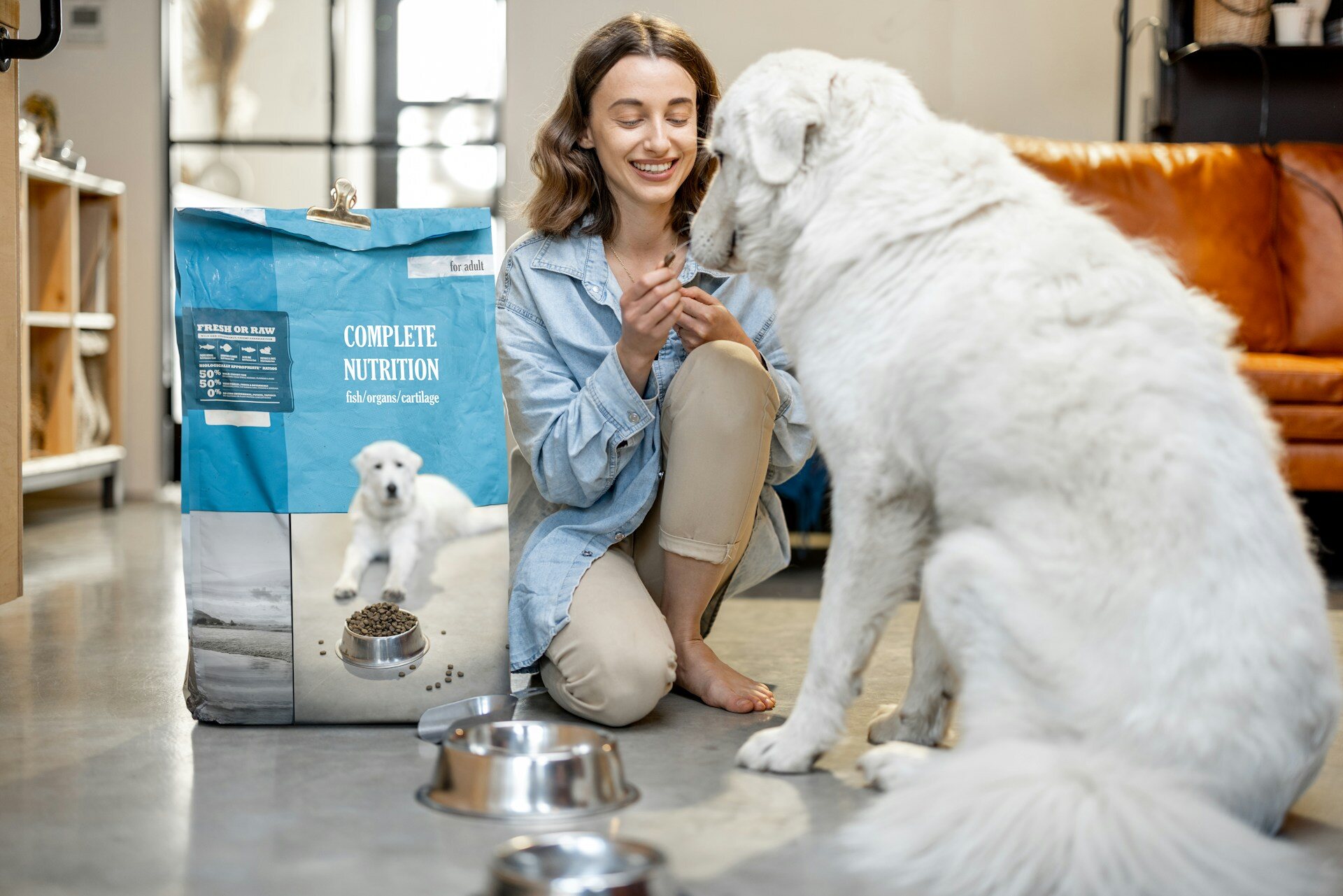 A woman feeding a dog high-quality dog food in a steel bowl indoors
