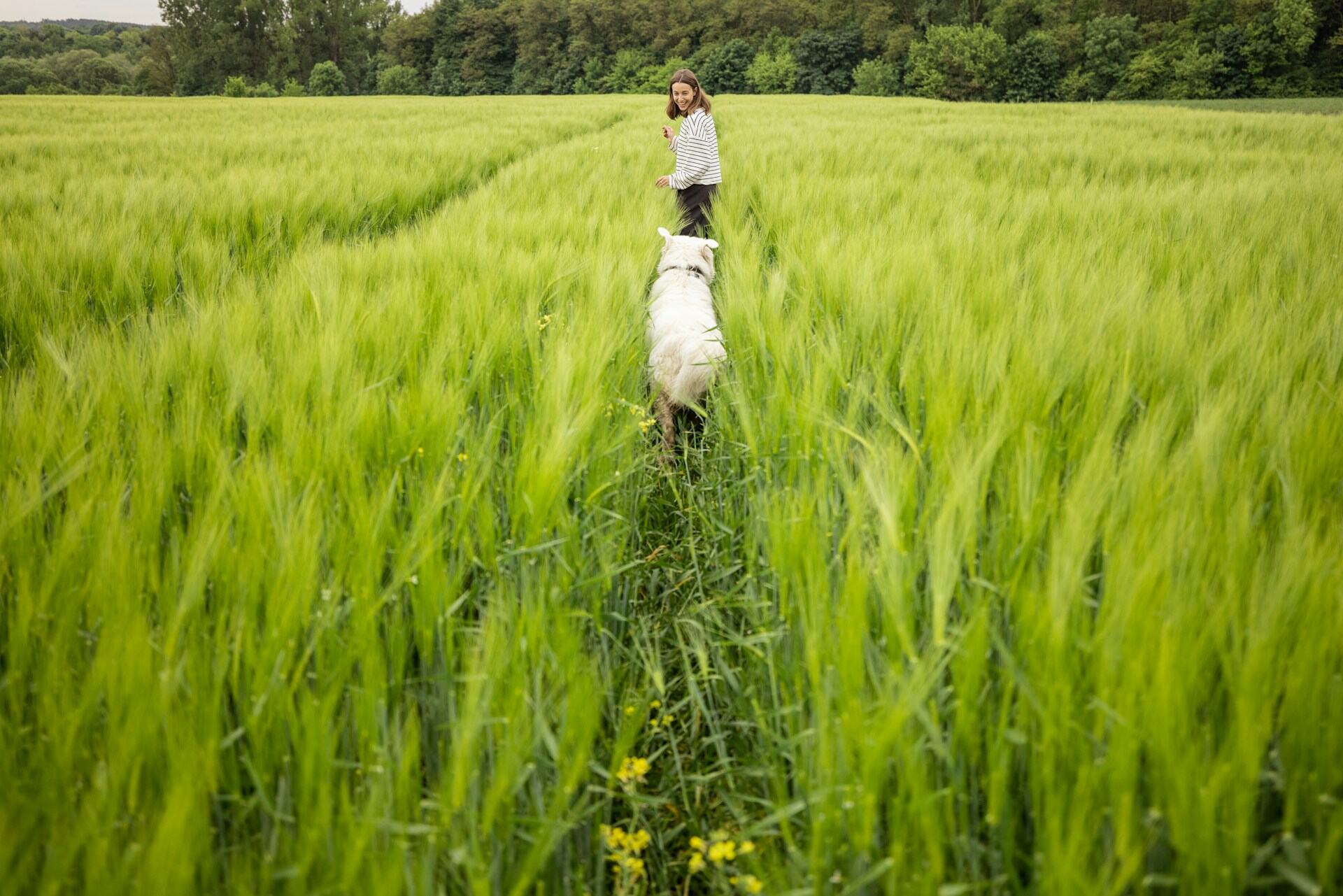 A dog running towards a woman in a green field