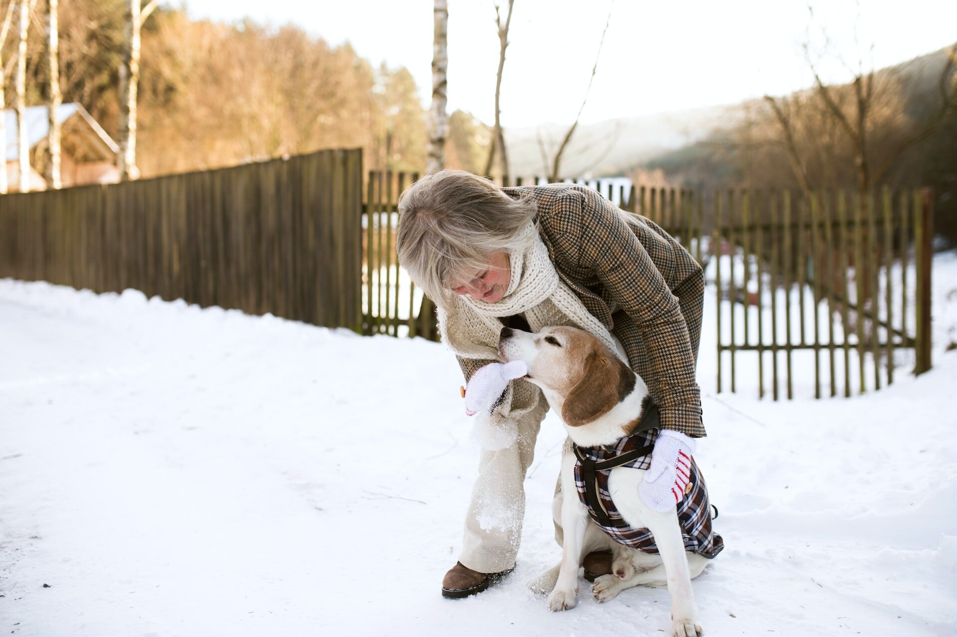 A woman playing with a dog outdoors in the snow in a fenced backyard
