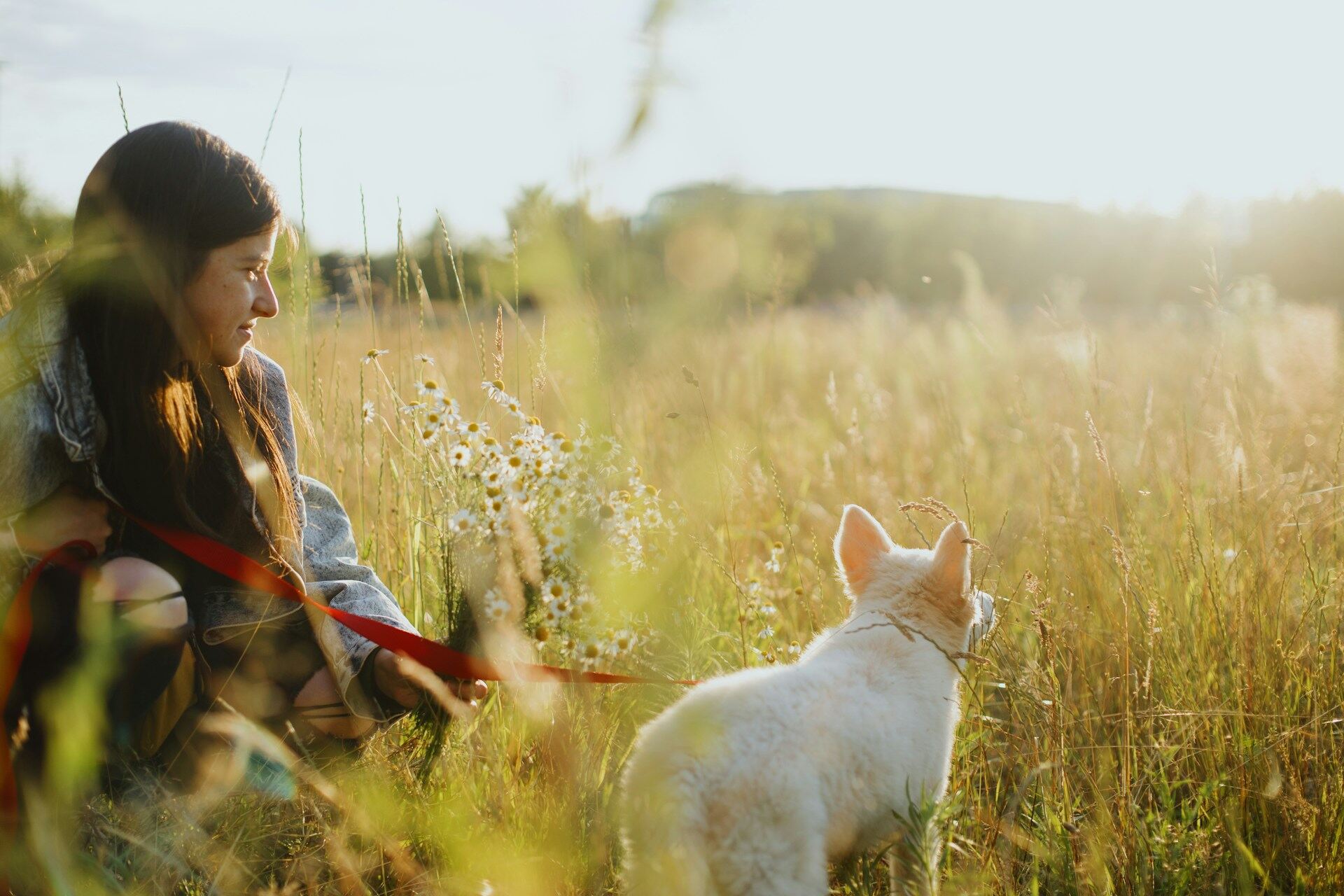A woman and dog sitting outdoors in a sunny field