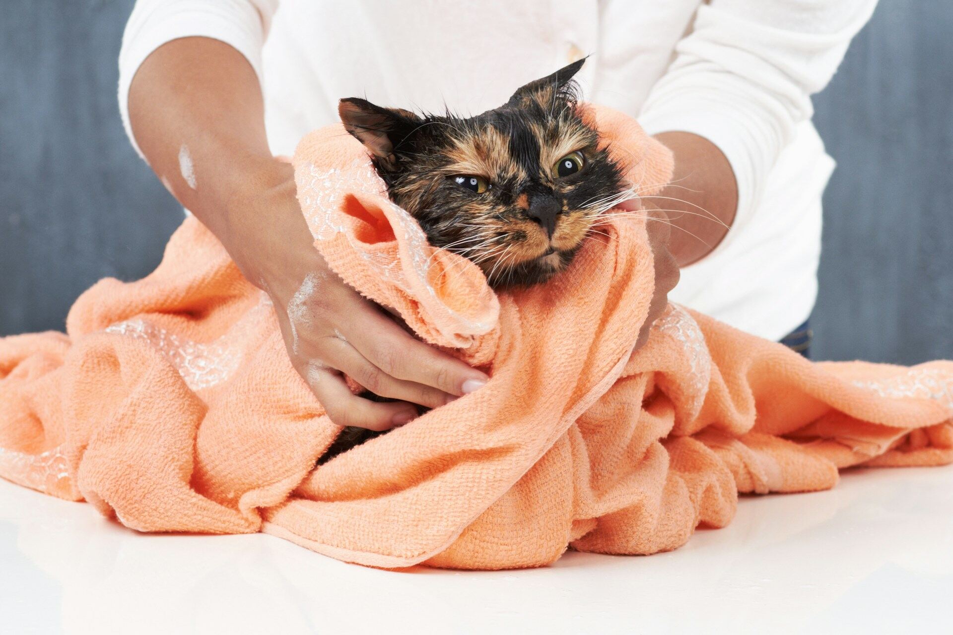 A woman wiping a wet cat with an orange towel
